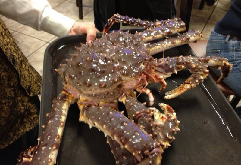 king-crab-alaska-cua-hoang-de-dac-san-cao-cap-com